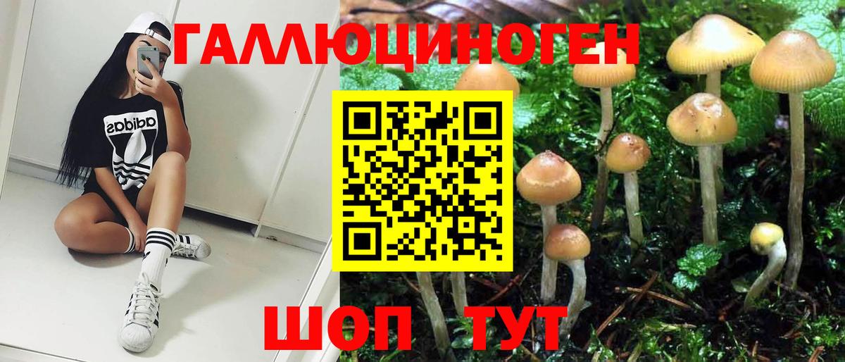 Галлюциногенные грибы мухоморы  Галлюциногенные грибы Psilocybe  Вход с VPN  Москва 