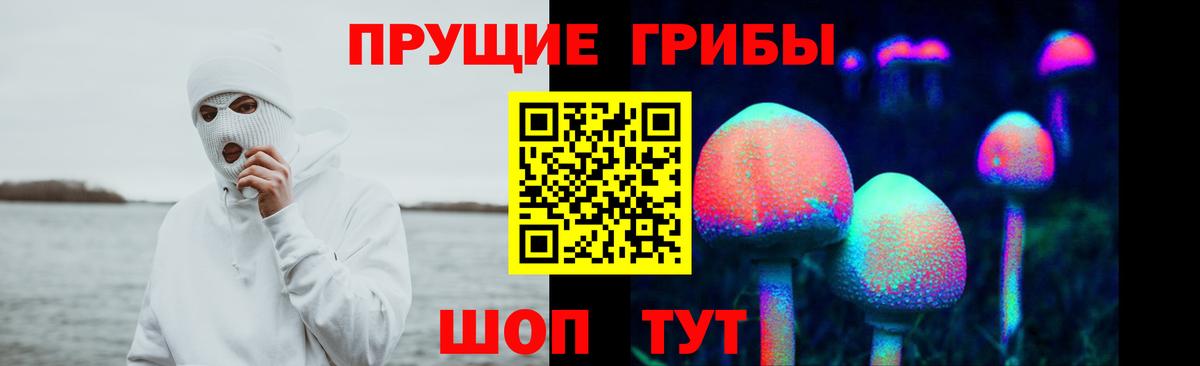 Псилоцибиновые грибы GOLDEN TEACHER Москва
